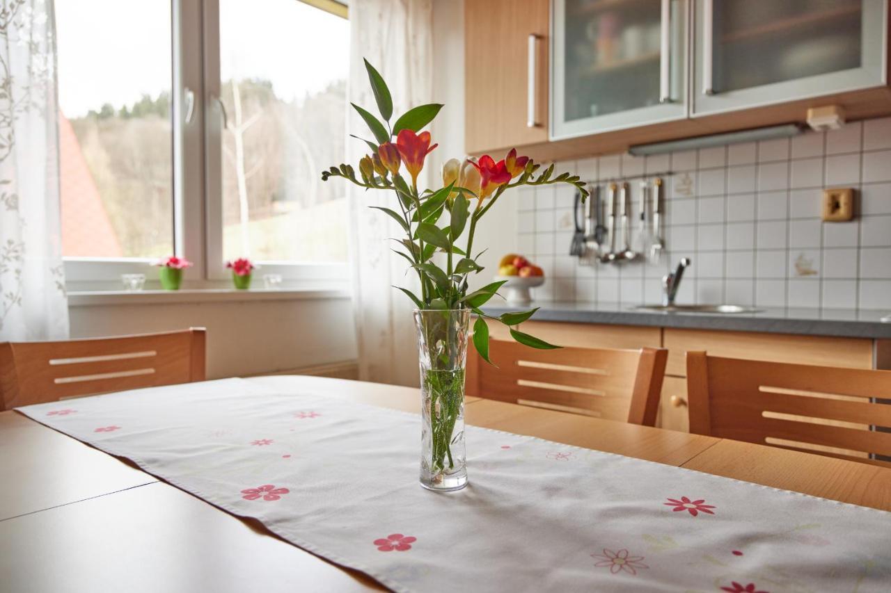 Apartman Svoboda Svoboda nad Úpou Buitenkant foto