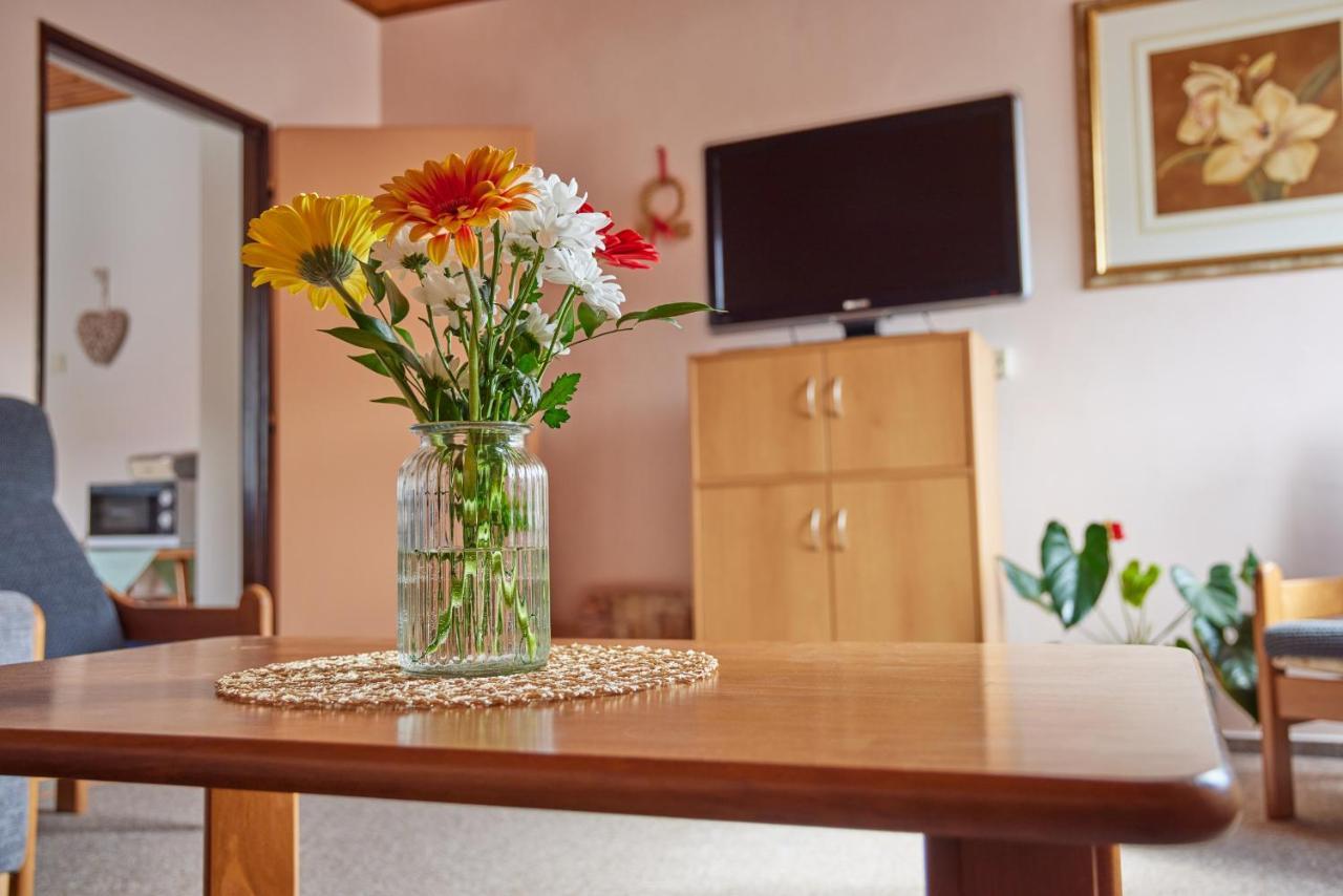 Apartman Svoboda Svoboda nad Úpou Buitenkant foto