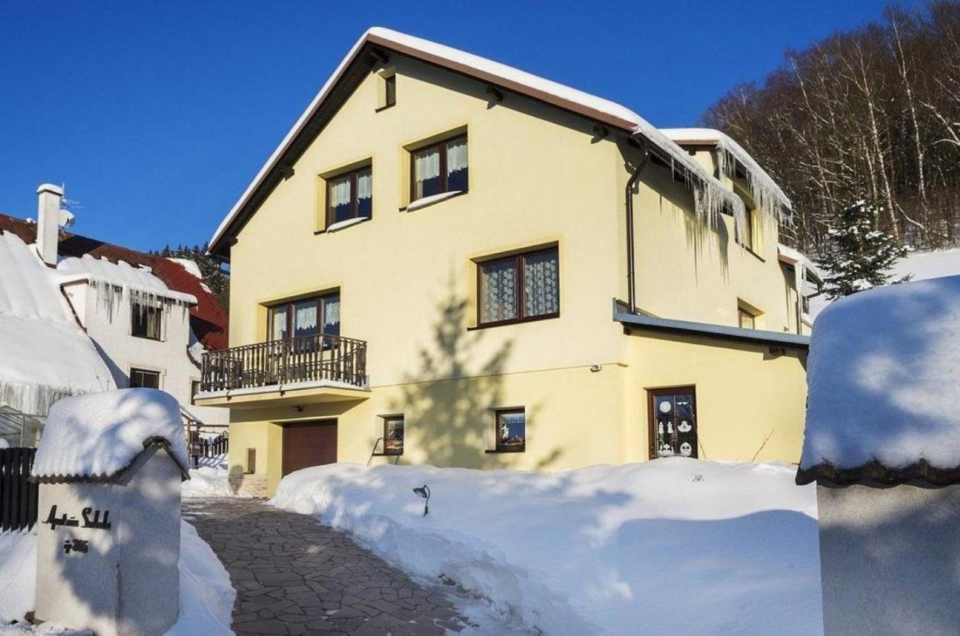 Apartman Svoboda Svoboda nad Úpou Buitenkant foto