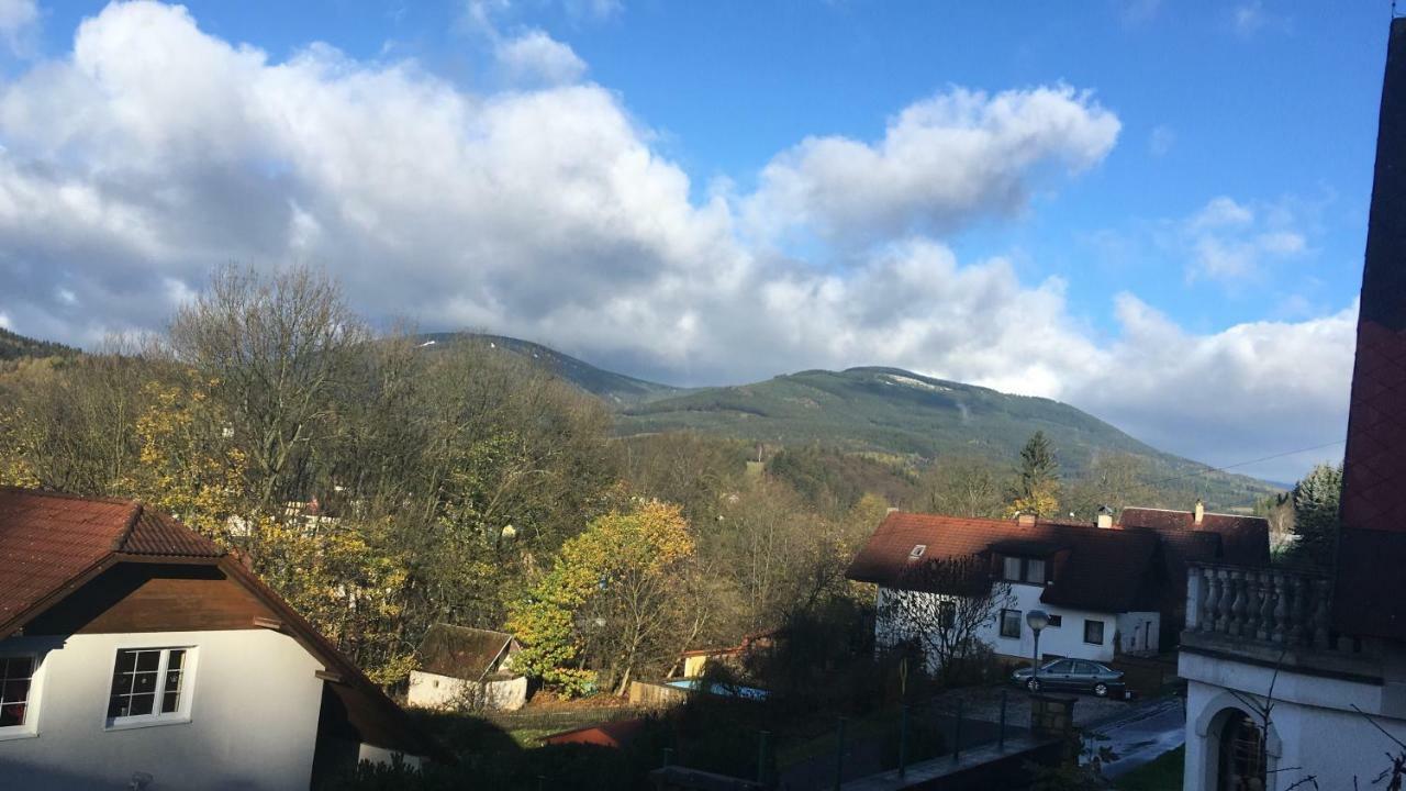 Apartman Svoboda Svoboda nad Úpou Buitenkant foto
